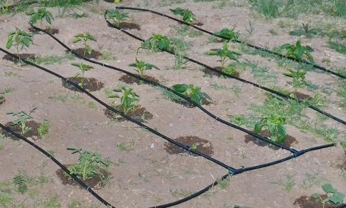 Вариант укладки шланга Вариант укладки шланга