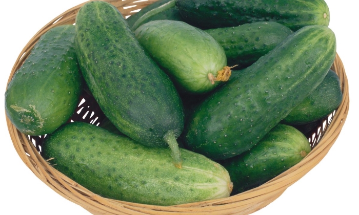 Как можно выращивать огурцы