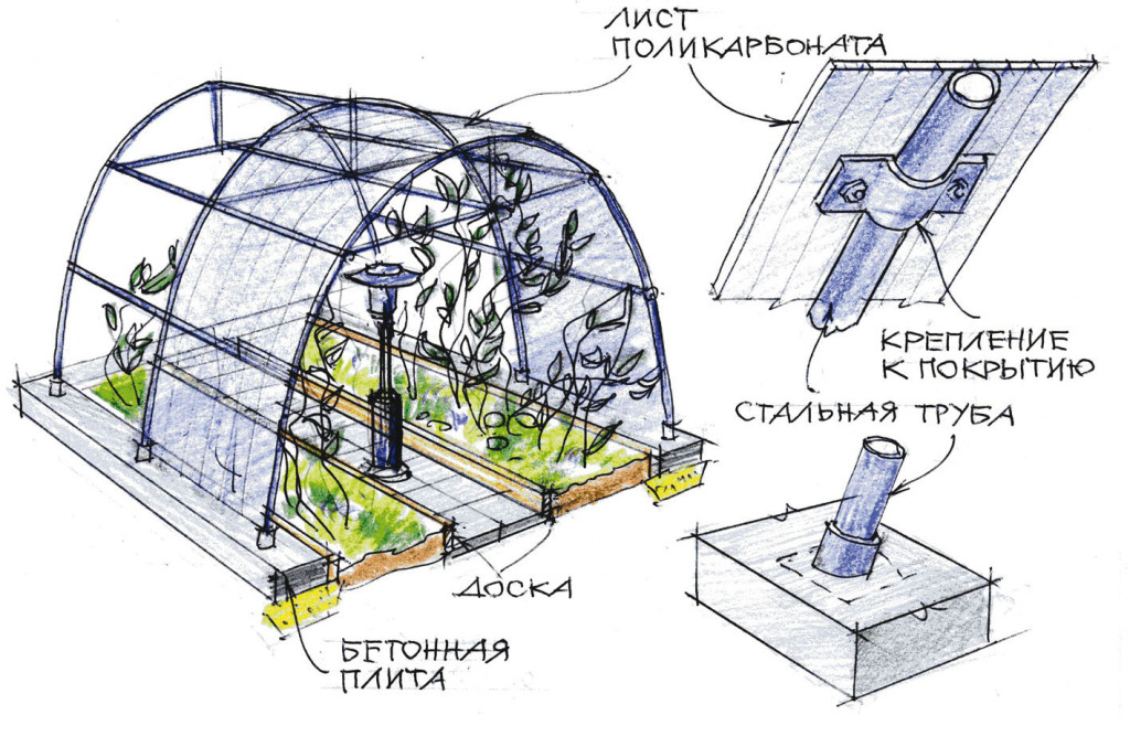 Конструкция и устройство теплицы из поликарбоната